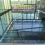 Hotel The Lince Azores