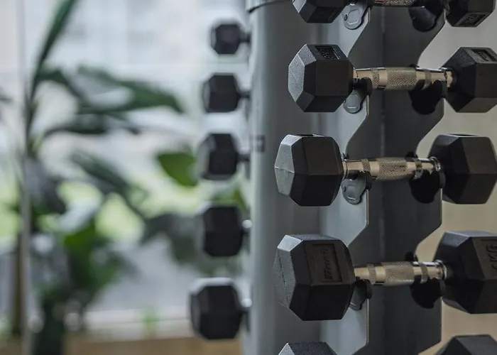 Hotel The Lince Azores Ponta Delgada (Sao Miguel)